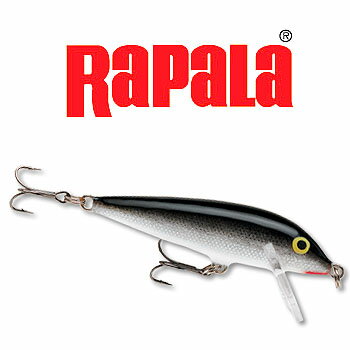 Rapala(ラパラ) カウントダウン 90mm S(シルバー) CD-9