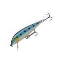 Rapala(ラパラ) カウントダウン 90mm ジャパンスペシャル:FSRD CD-9