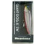 メガバス(Megabass) GIANT DOG-X(ジャイアント ドッグエックス) SW 98mm M KATAKUCHI RB II メガバス(Megabass) GIANT DOG-X(ジャイアント ドッグエックス) SW 98mm M KATAKUCHI RB II