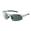 ダイワ(Daiwa) DN-4022H ポリカーボネイト変色調光偏光グラス シルバー グレー 04991476
