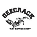 GEECRACK(ジークラック) ロゴステッカーヤモリ ブラック