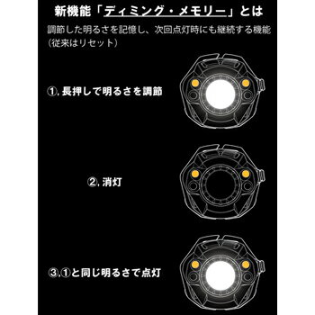 ZEXUS(ゼクサス) ZX-350 最大350ルーメン 充電式/単三電池式 ブラック ZX-350