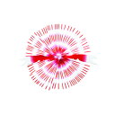 ハヤブサ(Hayabusa) 集寄 カニラバ #1 レッド HR215