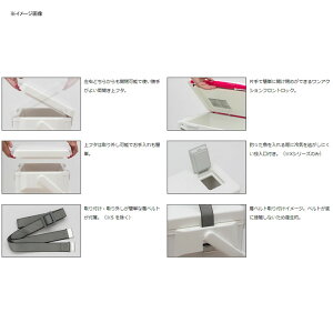 ダイワ(Daiwa) クールライン アルファ2 SU 2500 25L アイスブルー 03302044通販格安セール情報 楽天 通販