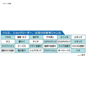 デュエル(DUEL) BIG フロロカーボン 120m 3号 クリアー H3799