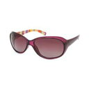 Coleman(コールマン) CLA01-3 P×Pストライプ ブラウンハーフ(偏光)