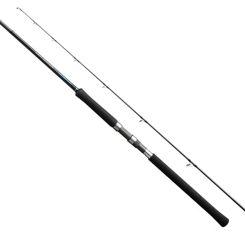 シマノ(SHIMANO) 19 ソルティーアドバンス ショアジギング S100M 【個別送料品】 大型便