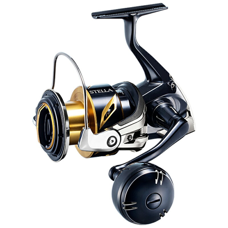 シマノ(SHIMANO) 20 ステラ SW 6000PG 040770