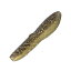 デプス(Deps) カバースキャット 3.5インチ #144 ゴリ 891円