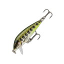 Rapala(ラパラ) カウントダウン 50mm OGMD(オリーブ グリーン マドラー) CD5-OGMD(4)