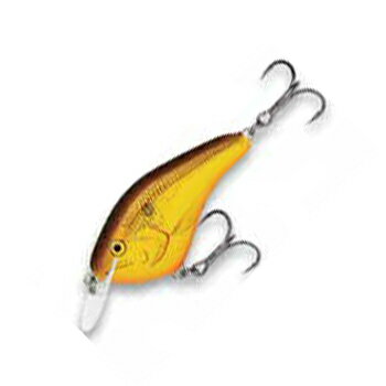 Rapala(p) IbgYK[W 70mm CW(NE_bh) OGS6-CW