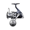 シマノ(SHIMANO) 21 ツインパワー SW 6000XG 042262