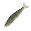 ダイワ(Daiwa) モアザン レイジーファシャッド J170.5S 170.5mm リアル鮎 07403156 ダイワ(Daiwa) モアザン レイジーファシャッド J170.5S 170.5mm リアル鮎 07403156