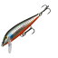 Rapala(ラパラ) カウントダウン ジャパンスペシャル 110mm SINR(シルバーイナッコレッドベリー) CD11/J