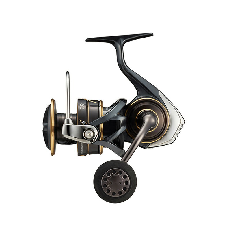 ダイワ Daiwa 22 CALDIA カルディア SW 6000D-H 00065052