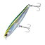 ダイワ(Daiwa) モアザン スイッチヒッター DH S 76mm アデルチャートヘッドキビナゴ 07403255 ダイワ(Daiwa) モアザン スイッチヒッター DH S 76mm アデルチャートヘッドキビナゴ 07403255