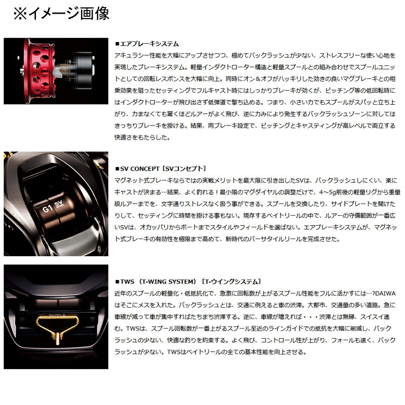 なります】 ダイワ(Daiwa) ALPHAS(アルファス) SV TW 800S-XHL 左ハンドル 00630228:ナチュラム フィッシング専門店 キャストア - shineray.com.br なります】 ダイワ(Daiwa) ALPHAS(アルファス) SV TW 800S-XHL 左ハンドル 00630228:ナチュラム フィッシング専門店 キャストア - shineray.com.br