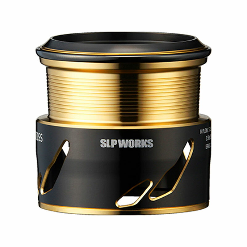 (Daiwa) SLPW EX SF 1000SS ס