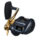ダイワ(Daiwa) TIERRA ティエラ LJ IC300H 右ハンドル 00631024