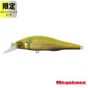 メガバス(Megabass) 【ナチュラム限定】X-80SW 80.5mm 限定カラー CB マットゴールドコハダ