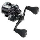 テイルウォーク(tail walk) VILAYER(ヴィレイヤー) DG 100-DH/L 左ハンドル 100-DH/L