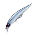 ジャクソン(Jackson) Gコントロール 40 青物直行パッケージ 120mm SWE サワラのエサ