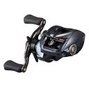 ダイワ(Daiwa) 25タトゥーラ SV TW 100 右ハンドル 100 00630151
