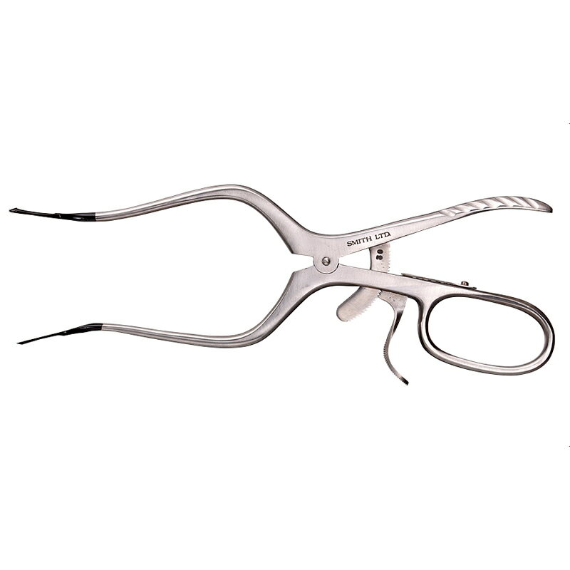 スミス(SMITH LTD) グロッサメタリ CDXX 21cm