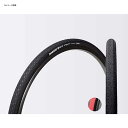 パナレーサー(Panaracer) ティーサーブ 700×28 黒×黒オープン F728-TSV-B3