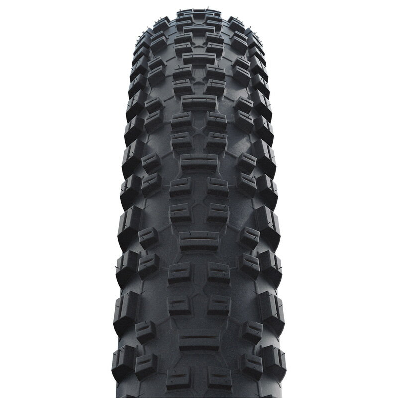 SCHWALBE(シュワルベ) 【正規品】ラピ...の紹介画像2