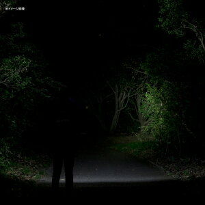 GENTOS(ジェントス) Combreaker コンブレーカー LEDヘッドライト 最大190ルーメン 単三電池式 CB-531D通販格安セール情報 楽天 通販