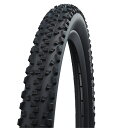 SCHWALBE(シュワルベ) 【正規品】ブラックジャック MTB タイヤ サイクル/自転車 20×1.90 ブラック(ETRTO:47-406) SW-11116407.02V