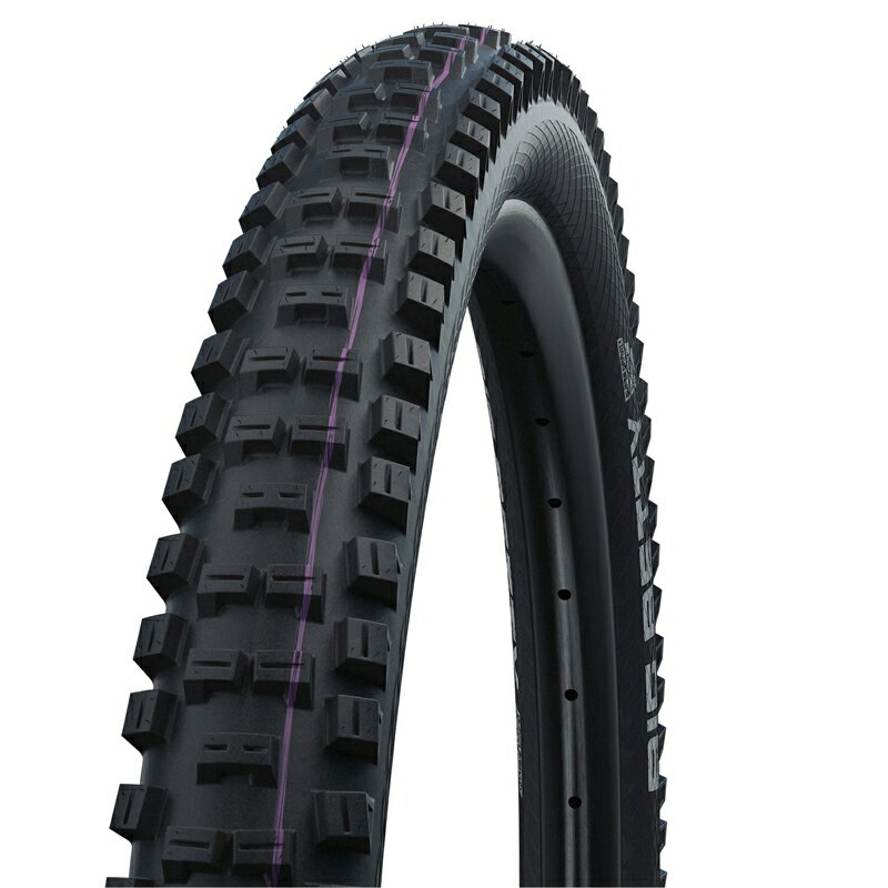 SCHWALBE(シュワルベ) 【正規品】ビッグベティ MTB グラビティ タイヤ サイクル/自転車 27.5×2.40 ブラック SW-11654164