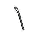 ERGON(エルゴン) CF オールロード プロ カーボン セットバック シートポスト SPT08101
