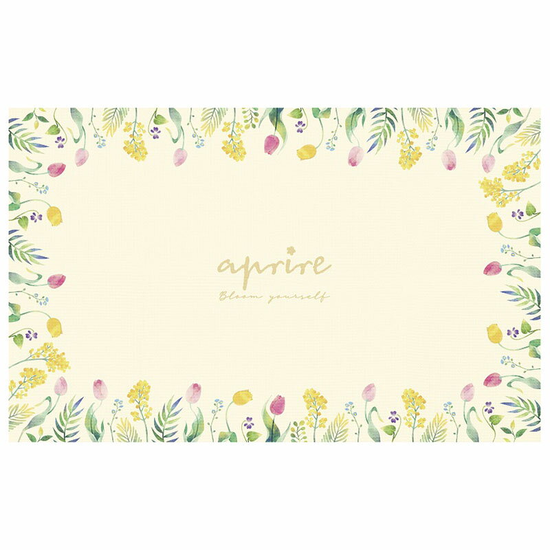 キャプテンスタッグ(CAPTAIN STAG) アプリール ソフトCレジャーシート 140 グロウ UT-1016