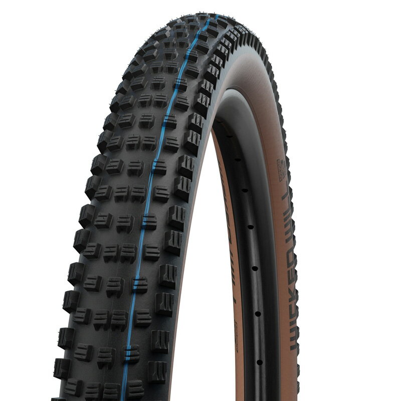 SCHWALBE(Vx) yKizEBLbhEB MTB^C TCN/] 27.5~2.40 uY(62-584)AGround SW-11654272