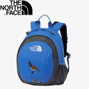 THE NORTH FACE ザ・ノース・フェイス K HOMESLICE キッズ ホームスライス 8L スーパーソニックブルー SC NMJ72361