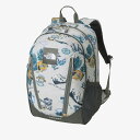 THE NORTH FACE(ザ ノース フェイス) 【24春夏】K ROUNDY(キッズ ラウンディ) 22L ヨセミテキャンプベージ(YC) NMJ72358