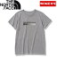 THE NORTH FACE(Ρե) Women's SHORT SLEEVE MOVE UP MESH TEE  M ߥå졼(Z) NTW32371