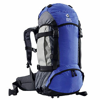 大収穫祭!ドイター フォックス30 コバルト×グレー