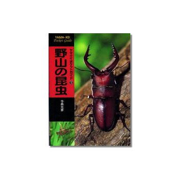 秋の大収穫祭山と渓谷社 ヤマケイポケットガイド／第10巻　野山の昆虫