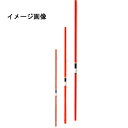 ヒロミ産業 磯トップ(2本入) 30