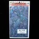 【12/5迄 最大2,000円OFF】 あわび本舗 最高級アワビシート 大判 あこや貝×ブラック