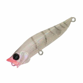 【12/5迄 最大2,000円OFF】 ジャクソン(Jackson) R.A.POP(アール.エー.ポップ) 全2色