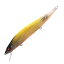メガバス(Megabass) VISION ONETEN(ビジョン ワンテン) 110.5mm PMトワイライトチャートバック 12148 メガバス(Megabass) VISION ONETEN(ビジョン ワンテン) 110.5mm PMトワイライトチャートバック 12148