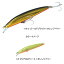 タックルハウス(TACKLE HOUSE) K2F122 122mm 115 クリアHGチャート×オレンジベリー