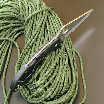 Spyderco(スパイダルコ) #1011 デリカ 4 (半波刃)ブラックハンドル通販格安セール情報 楽天 通販