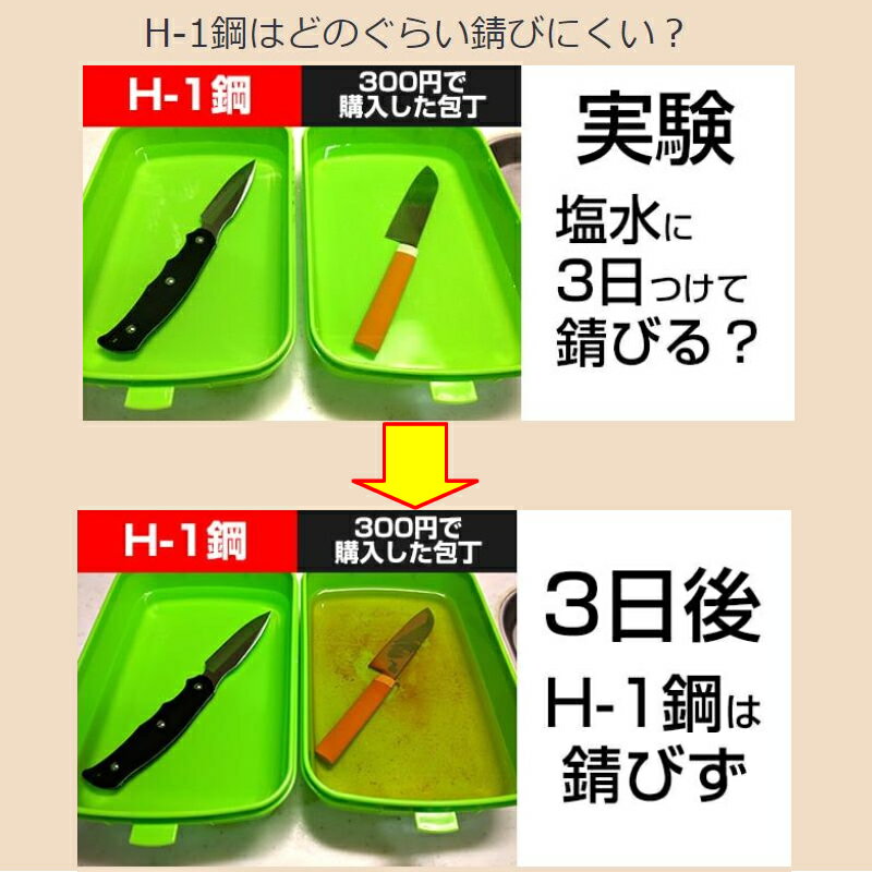 Spyderco(スパイダルコ) レディバグ3 ソルト 直刃 刃長(49mm) YL(イエロー) LYLP3通販格安セール情報 楽天 通販