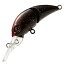 シマノ(SHIMANO) CARDIFF(カーディフ) ふわとろ 35F 35mm 09T(チョコレートチェリー) TR-135L シマノ(SHIMANO) CARDIFF(カーディフ) ふわとろ 35F 35mm 09T(チョコレートチェリー) TR-135L