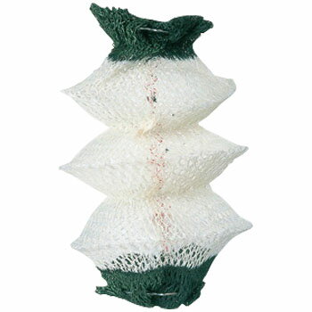 Coleman(コールマン) 2500ノーススターLPガスランタン 最大1543ルーメン グリーン 2000015520通販格安セール情報 楽天 通販